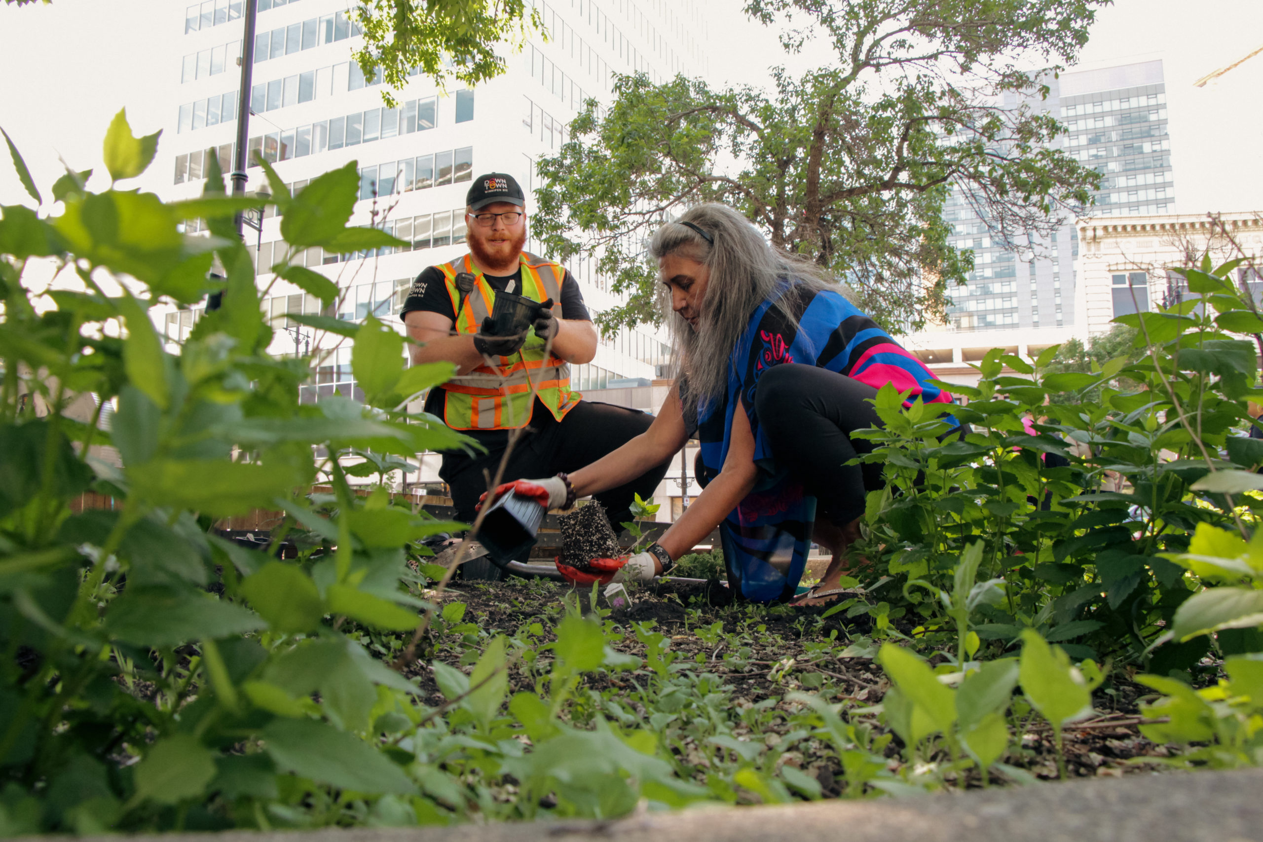 Indigenous Garden returns for eighth year in downtown Winnipeg